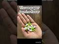 How to Make Realistic Jasmine Bud with Tissue Paper ✨ | DIY Mini Jasmine Flower | Easy Craft Ideas
