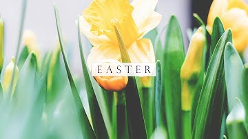 Easter 2024: A Message from Bishop Skelton