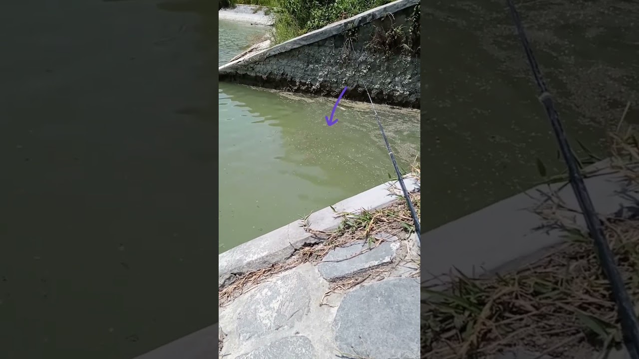 Undlupnya bikin bahagia,tapi isinya zonk