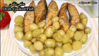 Fried Fish and Potato/ماهی و کچالو سرخ شده روی کرایی