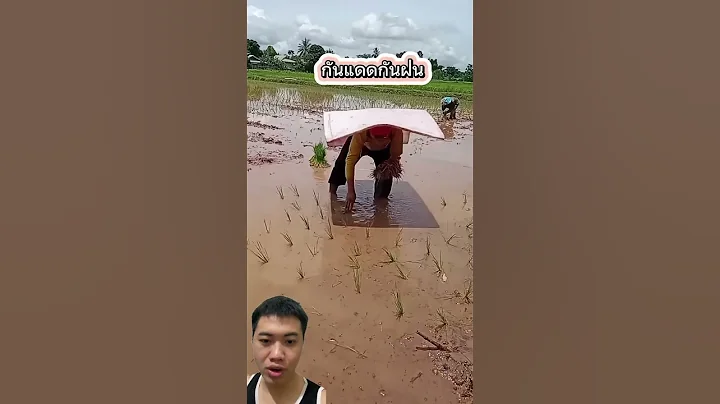 Vật Dụng Đơn Giản Giúp Cho Việc Cấy Mát Mẻ