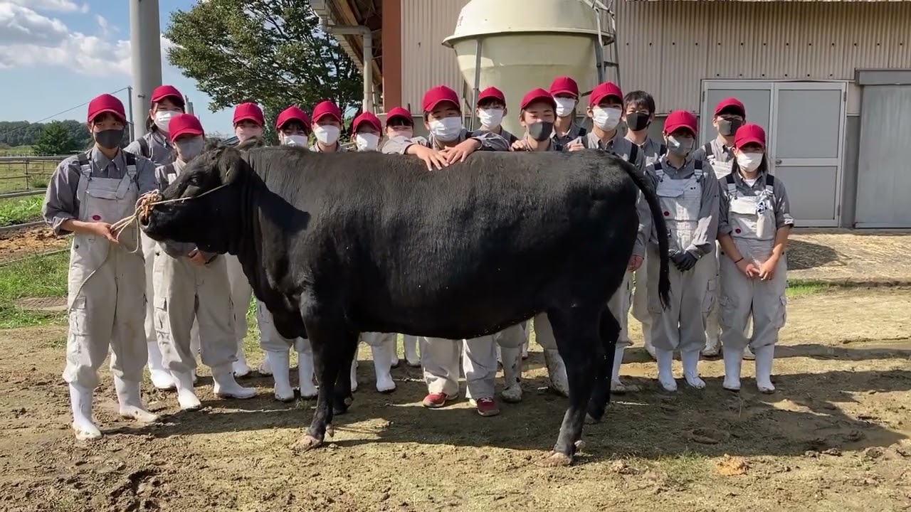 栃木 県立 栃木 農業 高等 学校