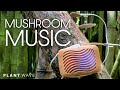 Mushroom music with plantwave at kealia forest reserve