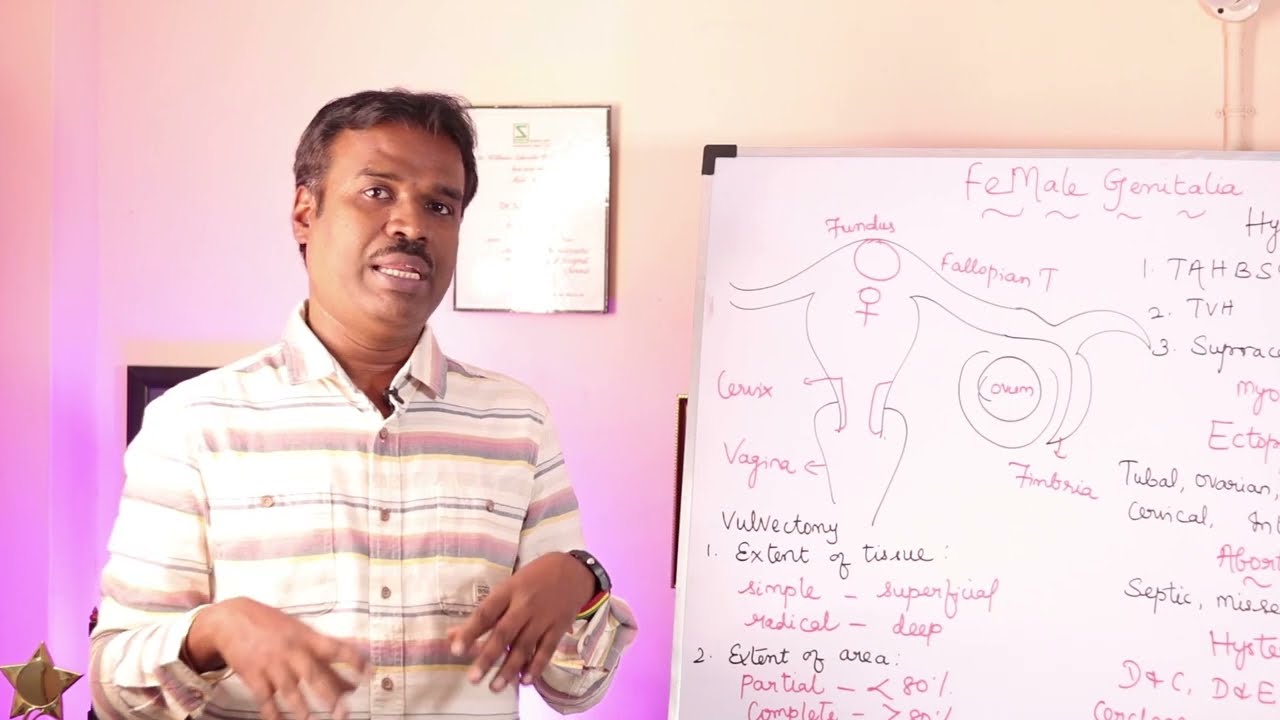 Female Genital System | Vulva | Labia Majus/minus | Clitoris | Hymen | Hymenotomy | Vulvectomy | STD