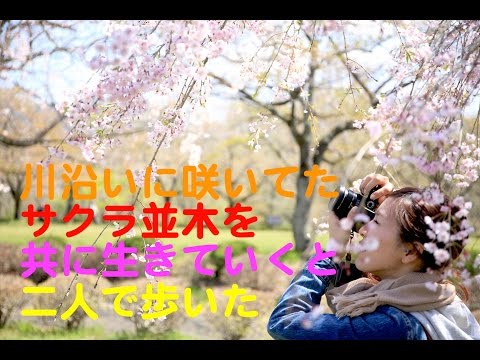 サクラ色 カラオケ カバー 歌詞 採点付 男