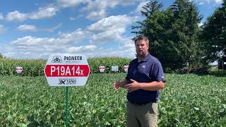 Pioneer Soybeans and SCN Resistance