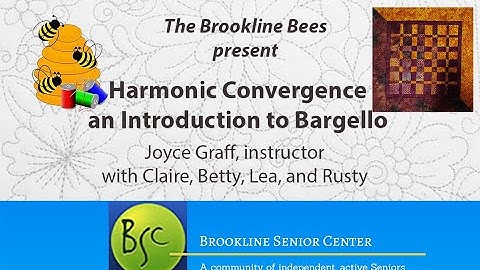Brookline Bees Present - Intro to bargello: Harmonic convergence