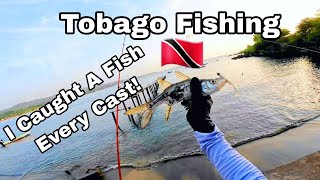 I Caught A Fish Every Cast | Trinidad and Tobago Fishing