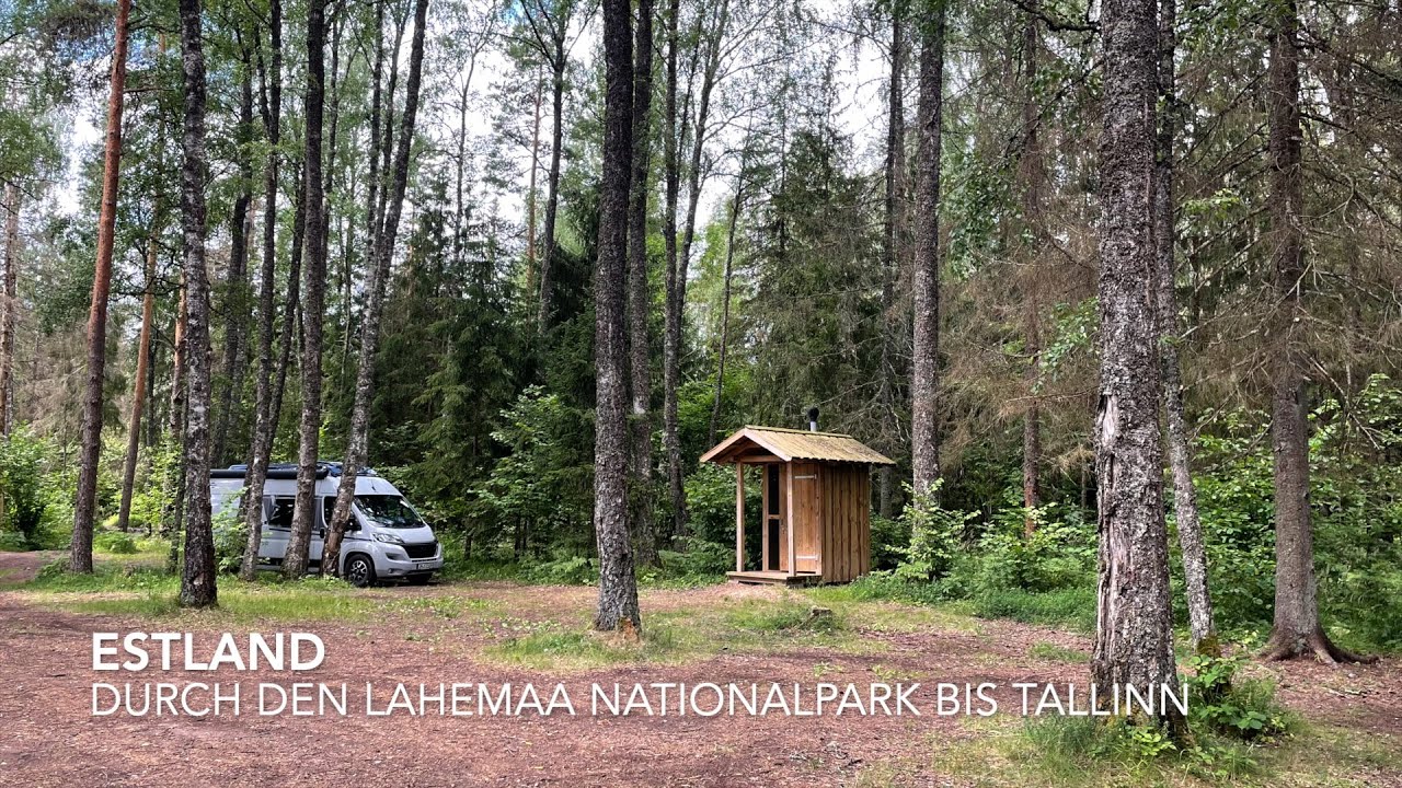 VANLIFE Estland - Mit Camper Gustl durch den Lahemaa Nationalpark bis Tallinn