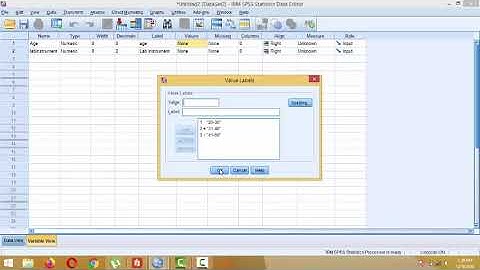 SPSS tutorial for the beginners explained in urdu.hindi