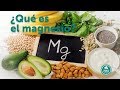 ¿Qué es el magnesio?