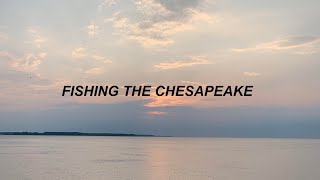 Fishing The Chesapeake Bay (Red Drum And Cobia)