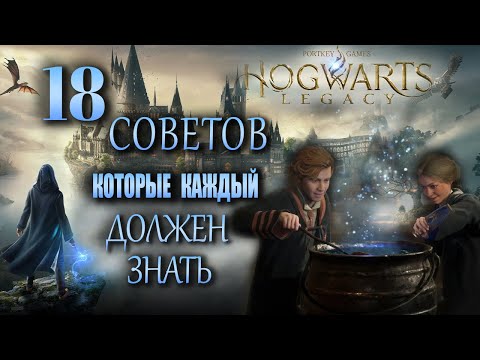 ОСНОВНЫЕ советы ДО того, как начать «Hogwarts Legacy»