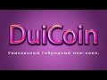 DuiCoin - уникальный гибридный мем-коин.