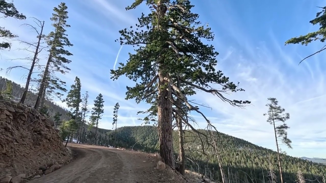 This Recovering Forest in Arizona is a Great HIKE!