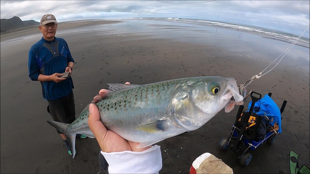 West Coast Surfcasting - NZ Fishing - YouTube