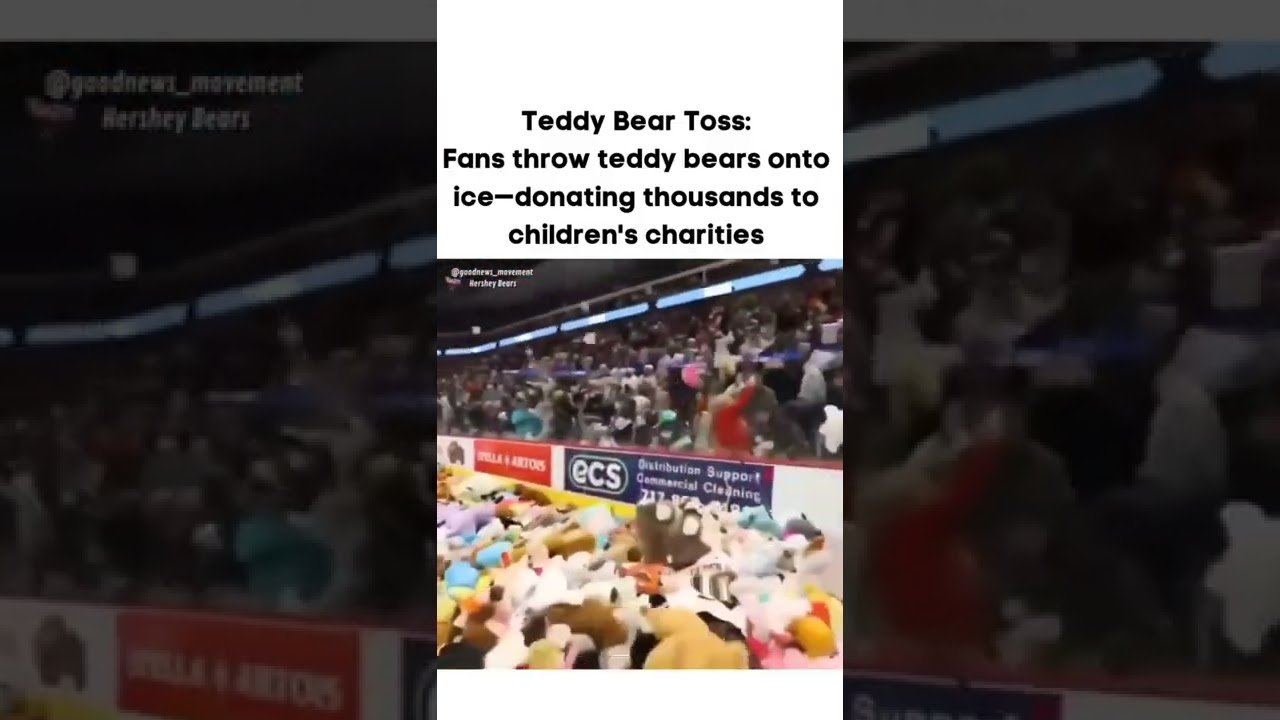 They donate multiple teddy bears for children's charity