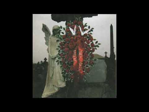 Ampere - Mr. Suit