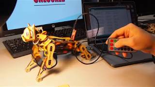Part6. Bring Your Nybble to Life! | First Steps in Programming Your Robotic Cat | PetoiCamp