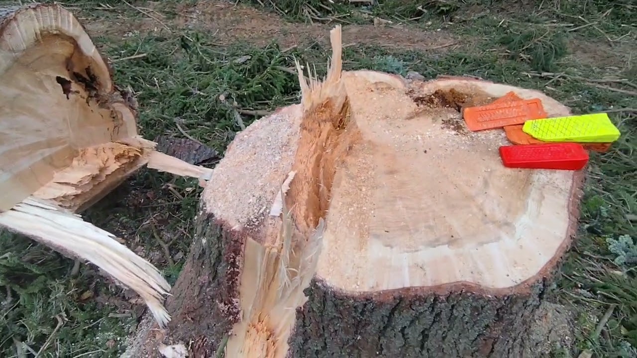 Trochu kácení Stihl 🎻462 a nějaké ty řeči kolem 🌲 587-2025