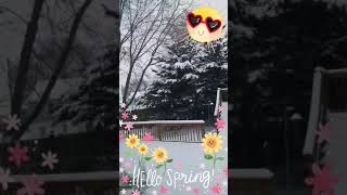 1st day of Spring 2018