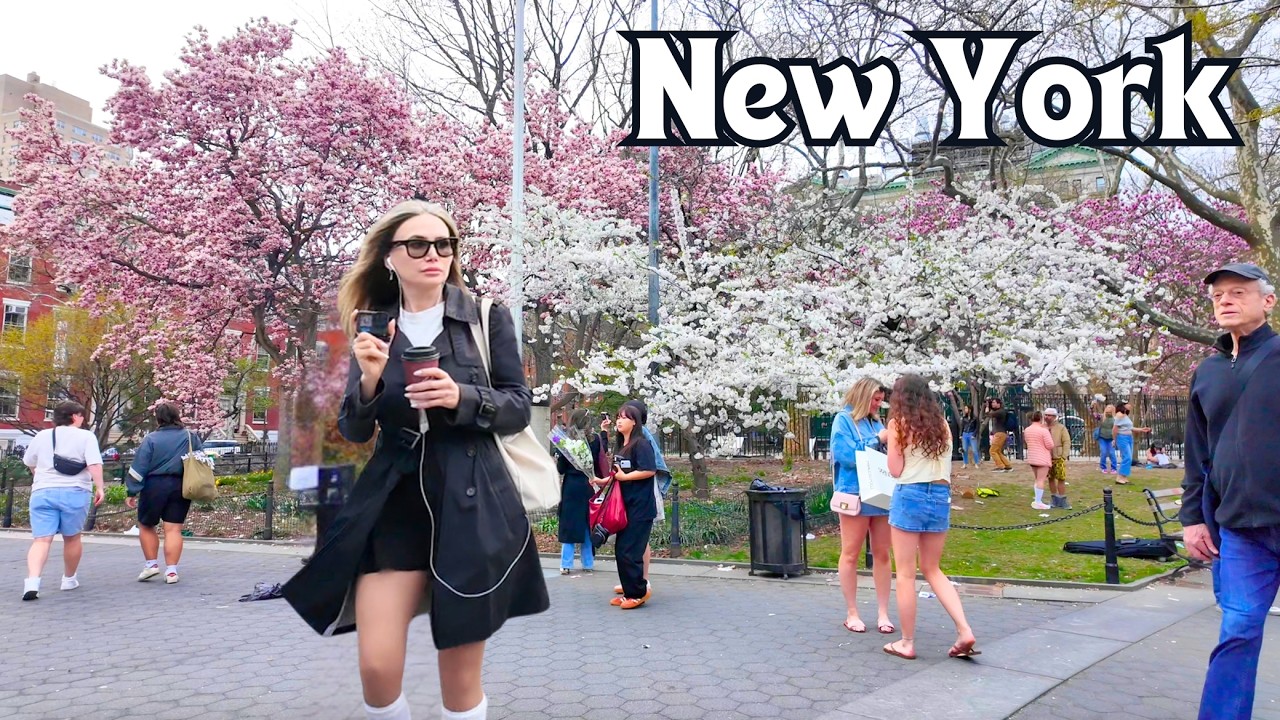 New York, Amerika Serikat | Jalan Bunga Sakura 4K | 9 Apr 2026