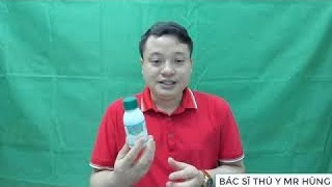 Bí quyết phòng và điều trị bệnh cầu trùng trên heo con cùng chuyên gia bác sĩ thú y Vũ Văn Hùng