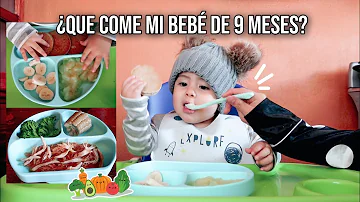 ¿Qué puede cenar un niño de 9 meses?