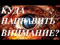 Сатсанг Санкт-Петербург 12.09.20г. - " КУДА НАПРАВИТЬ ВНИМАНИЕ?"