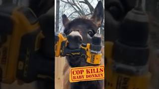 Owner of baby donkey Hee Haw  killed by police mourns his loss