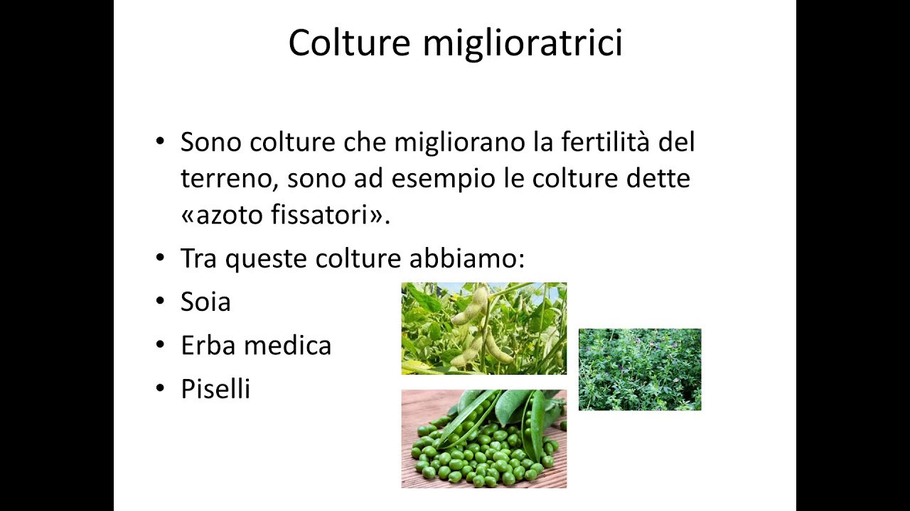 Agricoltura: La concimazione, la rotazione e l'avvicendamento