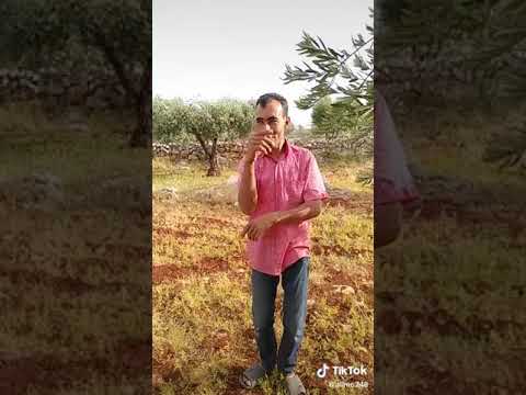تؤبر قلبي هالضحكة فارس كرم ضحك