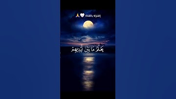 #قرآن #آية_الكرسي #سورة_البقرة #سعد_الغامدي 🤍🎶