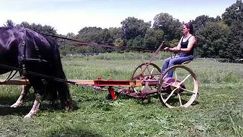 Horse Drawn Sickle Bar Mowing, Part 3: Running Smo...