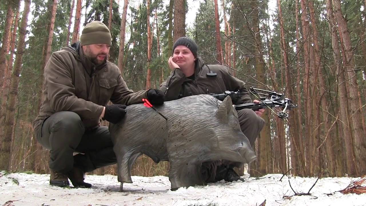 Пристрелка тепловизионного прицела PULSAR Apex xd50 на арбалете B52