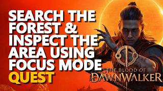 Search the Forest & Inspect the Area Using Focus Mode The Blood of Dawnwalker