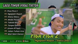 PICA PICA 2 - Juan Reza | NGAPAIN REPOT | STECU | TABOLA BALE || LAGU POP TIMUR TERPOPULER 2025