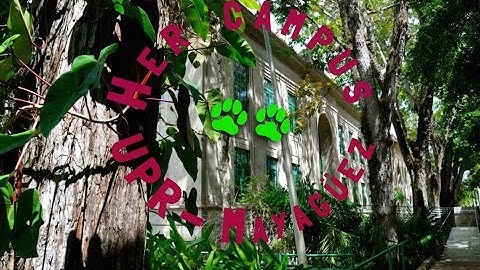 What is (not) Her Campus-UPRM?