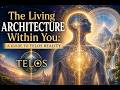TELOS : The Hidden Architecture of Experience