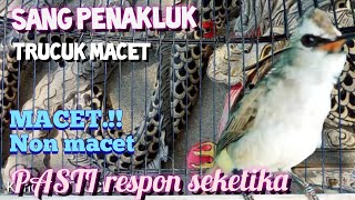 Sang PENAKLUK TRUCUK MACET  Menjadi Sembuh..GACOR seketika ( Apapun trucuknya pasti RESPON)