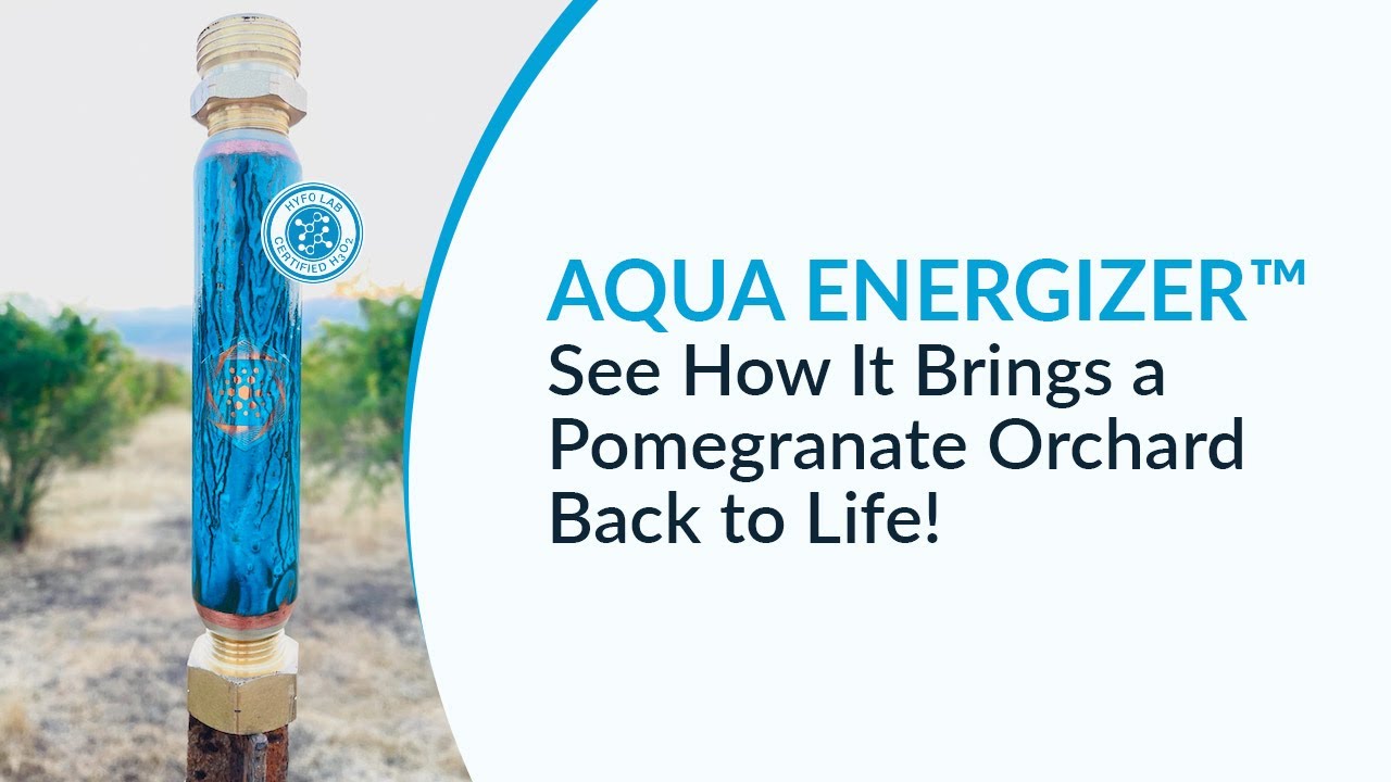 AQUA ENERGIZER Brings Pomegranate Orchard Back To Life YouTube aqua-energizer-brings-pomegranate-orchard-back-to-life-youtube