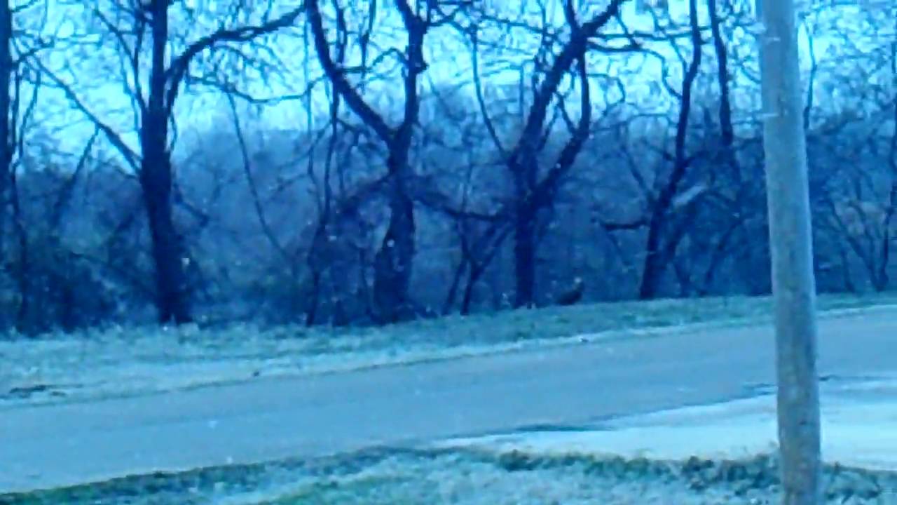 Snow In The Mississippi Delta... Sunflower, Mississippi YouTube