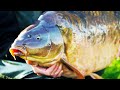 Our Biggest Ever Carp Fishing Challenge - Reservoir Diaries S2