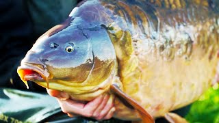 Our Biggest Carp Fishing Challenge - Reservoir Diaries S2