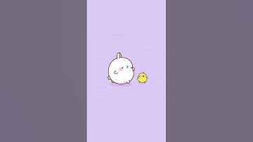 Piu Piu better run 💥 #molang #funnyvideo