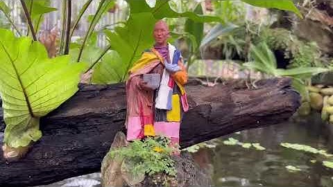 Thầy Thích Minh Tuệ - làm tiểu cảnh thác nước chảy sinh động cho hồ cá