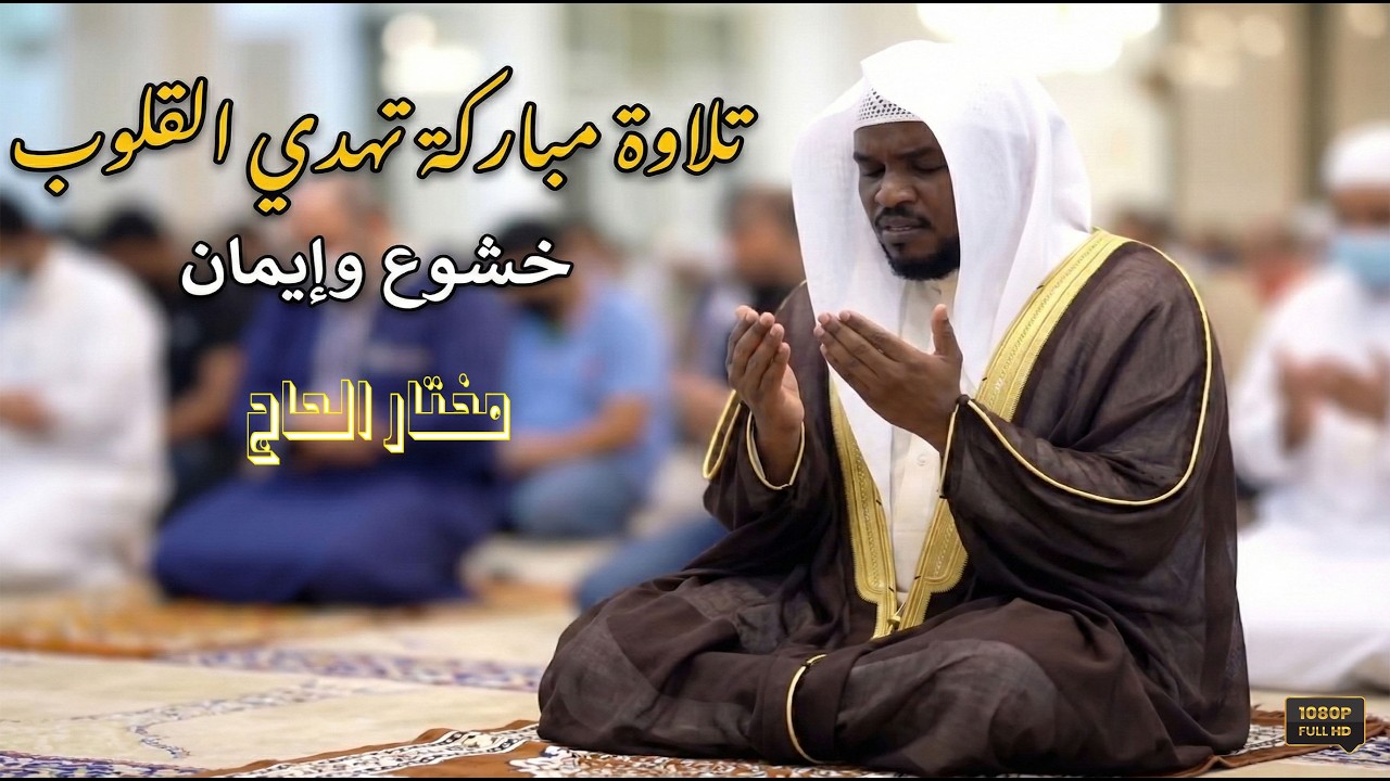 تلاوة مباركة تهدى النفوس .. خشـــوع و إيمـــان لا يوصف