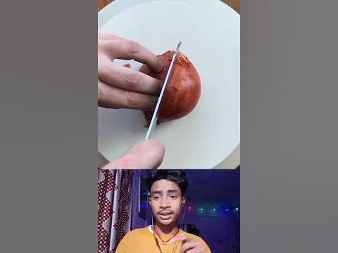 Impossible Cake vs Fake 🤥 part-4 can you tell difference between the