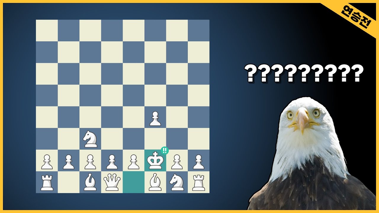 진짜 별의 별 오프닝이 다 있네