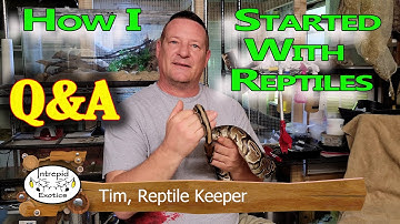 🐍HOW I STARTED WITH REPTILES, Q&A.